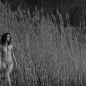 Helena in the Reeds
